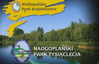 Nadgoplanski Park Tysiąclecia