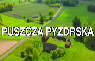 Puszcza Pyzdrska